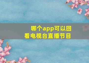 哪个app可以回看电视台直播节目