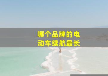 哪个品牌的电动车续航最长