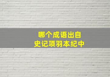 哪个成语出自史记项羽本纪中