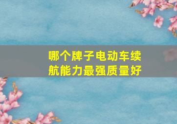 哪个牌子电动车续航能力最强质量好