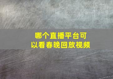 哪个直播平台可以看春晚回放视频