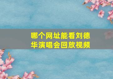 哪个网址能看刘德华演唱会回放视频