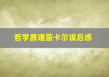 哲学原理笛卡尔读后感