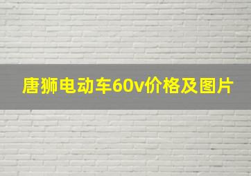 唐狮电动车60v价格及图片