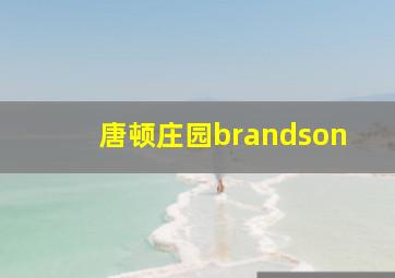 唐顿庄园brandson