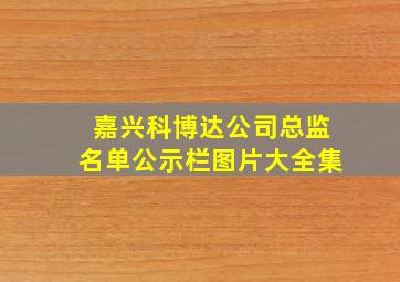 嘉兴科博达公司总监名单公示栏图片大全集