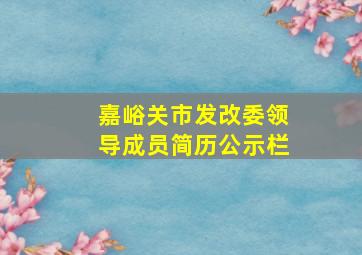 嘉峪关市发改委领导成员简历公示栏