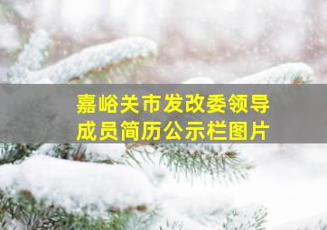 嘉峪关市发改委领导成员简历公示栏图片