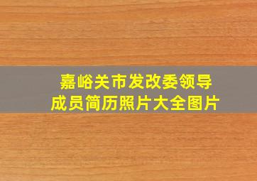 嘉峪关市发改委领导成员简历照片大全图片