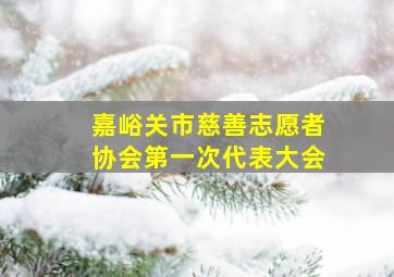 嘉峪关市慈善志愿者协会第一次代表大会