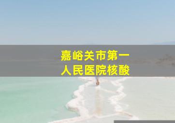 嘉峪关市第一人民医院核酸