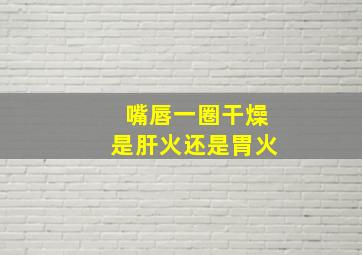 嘴唇一圈干燥是肝火还是胃火