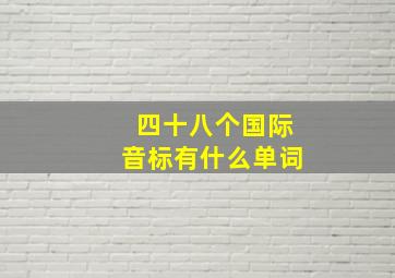 四十八个国际音标有什么单词