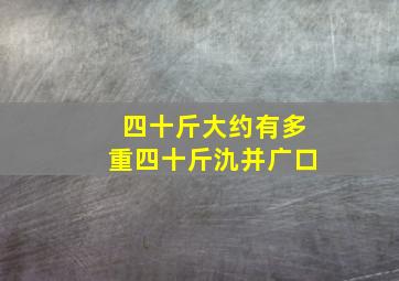 四十斤大约有多重四十斤氿并广口