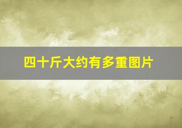 四十斤大约有多重图片