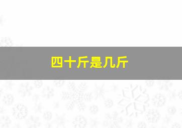 四十斤是几斤