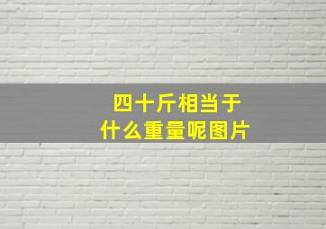 四十斤相当于什么重量呢图片