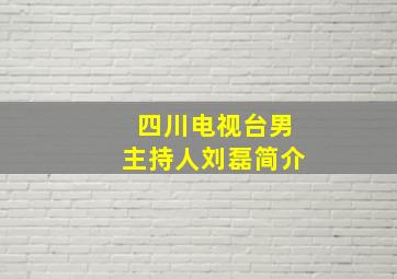 四川电视台男主持人刘磊简介