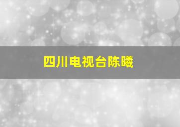 四川电视台陈曦