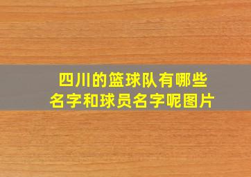 四川的篮球队有哪些名字和球员名字呢图片