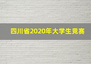 四川省2020年大学生竞赛