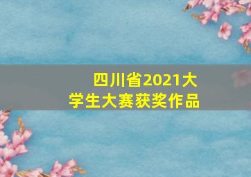 四川省2021大学生大赛获奖作品