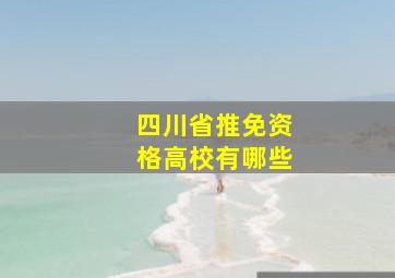 四川省推免资格高校有哪些