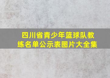 四川省青少年篮球队教练名单公示表图片大全集