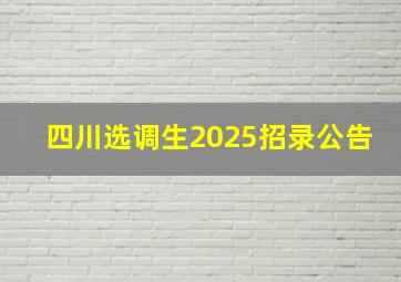 四川选调生2025招录公告