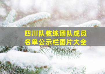 四川队教练团队成员名单公示栏图片大全