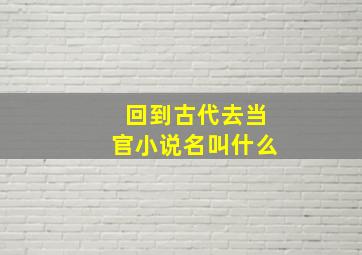 回到古代去当官小说名叫什么