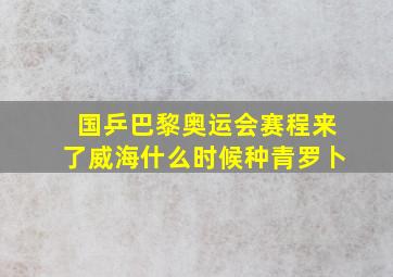 国乒巴黎奥运会赛程来了威海什么时候种青罗卜