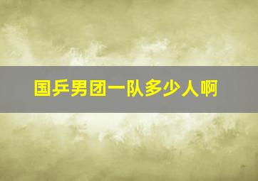 国乒男团一队多少人啊