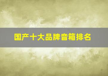 国产十大品牌音箱排名