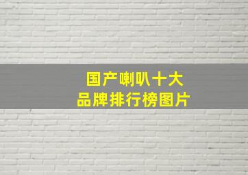 国产喇叭十大品牌排行榜图片