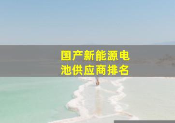 国产新能源电池供应商排名