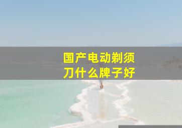 国产电动剃须刀什么牌子好