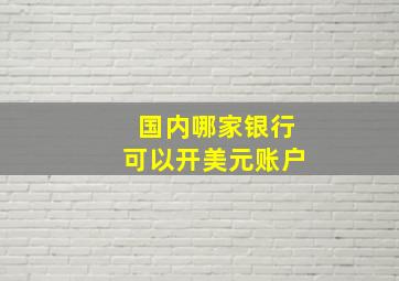 国内哪家银行可以开美元账户