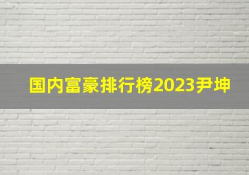 国内富豪排行榜2023尹坤