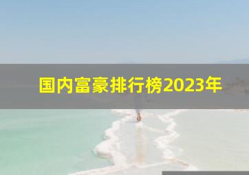 国内富豪排行榜2023年