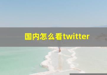 国内怎么看twitter