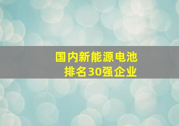 国内新能源电池排名30强企业