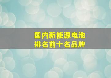 国内新能源电池排名前十名品牌