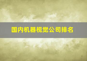 国内机器视觉公司排名