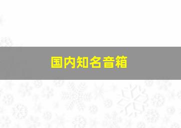 国内知名音箱