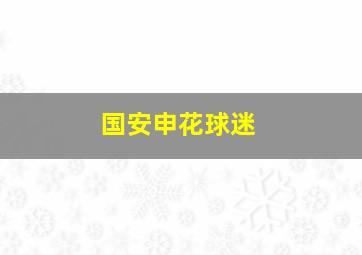 国安申花球迷