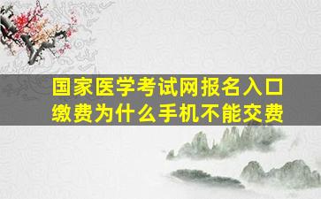 国家医学考试网报名入口缴费为什么手机不能交费