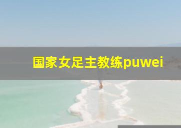 国家女足主教练puwei