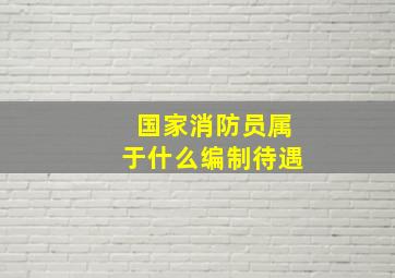 国家消防员属于什么编制待遇