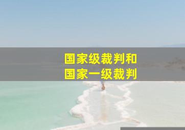 国家级裁判和国家一级裁判